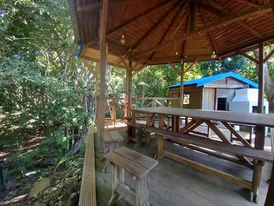Ti Paradis Gite A 200 M Plage De Grande Anse ديساي غوادلوب