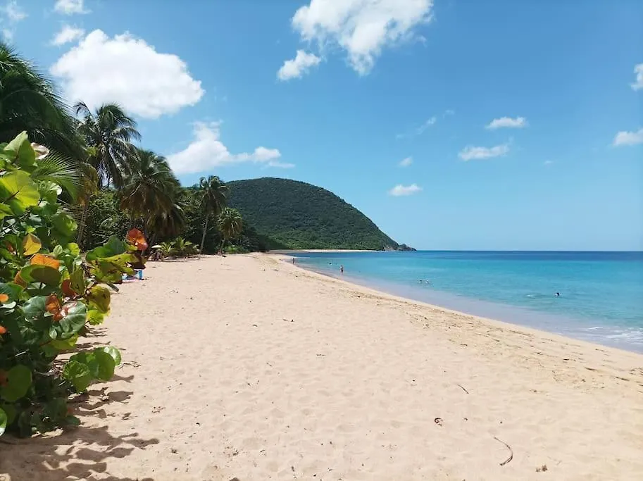 Ti Paradis Gite A 200 M Plage De Grande Anse ديساي شقة